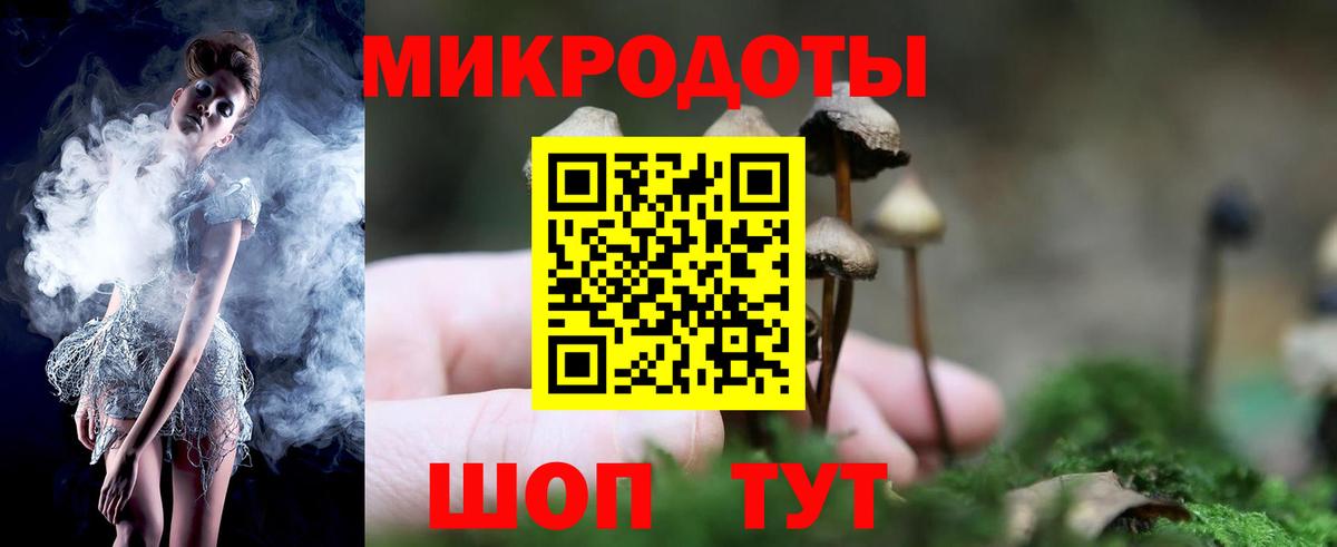 Галлюциногенные грибы Magic Shrooms Кисловодск